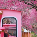 龙岩旅游 缩略图 13