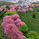 福州旅游 缩略图 3