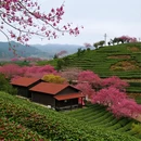 龙岩旅游 缩略图 16