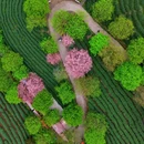 福州旅游 缩略图 5