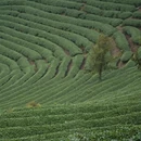 福州旅游 缩略图 3
