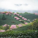 福州旅游 缩略图 2