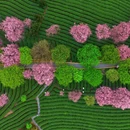 福州旅游 缩略图 8