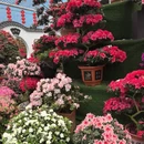 福州旅游 缩略图 6