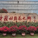 福州旅游 缩略图 7
