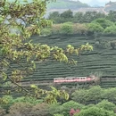 福州旅游 缩略图 2
