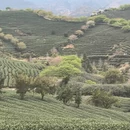 福州旅游 缩略图 1