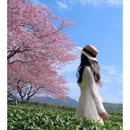 龙岩旅游 缩略图 4