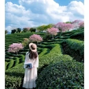 龙岩旅游 缩略图 1