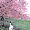 龙岩旅游 缩略图 3