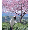 龙岩旅游 缩略图 6