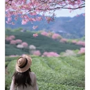 龙岩旅游 缩略图 8