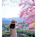 龙岩旅游 缩略图 7