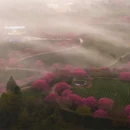 龙岩旅游 缩略图 1
