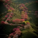 龙岩旅游 缩略图 2