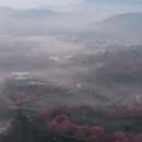 龙岩旅游 缩略图 6