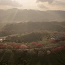 龙岩旅游 缩略图 8