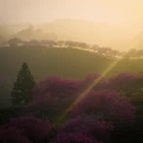 龙岩旅游 缩略图 9