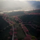 龙岩旅游 缩略图 7