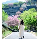 龙岩旅游 缩略图 11