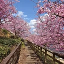 龙岩旅游 缩略图 1
