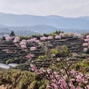 龙岩旅游 缩略图 5