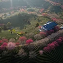 龙岩旅游 缩略图 12