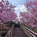 龙岩旅游 缩略图 3