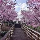 龙岩旅游 缩略图 9