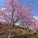 龙岩旅游 缩略图 8
