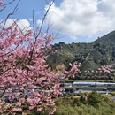 龙岩旅游 缩略图 7