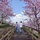 龙岩旅游 缩略图 4