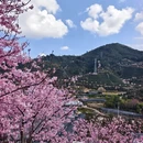 龙岩旅游 缩略图 13
