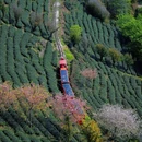 福州旅游 缩略图 2