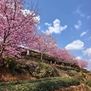 龙岩旅游 缩略图 11