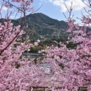 龙岩旅游 缩略图 14