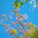 福州旅游 缩略图 6