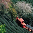 福州旅游 缩略图 3