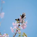 福州旅游 缩略图 5