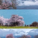 林芝旅游 缩略图 1