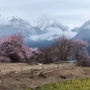 林芝旅游 缩略图 4