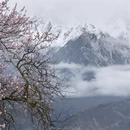 林芝旅游 缩略图 3