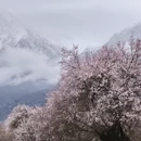 林芝旅游 缩略图 8