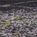 林芝旅游 缩略图 11