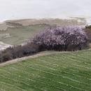 林芝旅游 缩略图 13