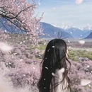 林芝旅游 缩略图 1