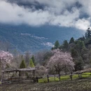 林芝旅游 缩略图 15