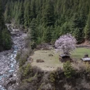 林芝旅游 缩略图 16