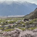 林芝旅游 缩略图 4