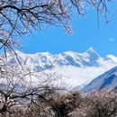 林芝旅游 缩略图 2